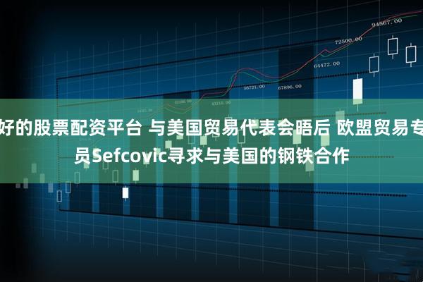 好的股票配资平台 与美国贸易代表会晤后 欧盟贸易专员Sefcovic寻求与美国的钢铁合作